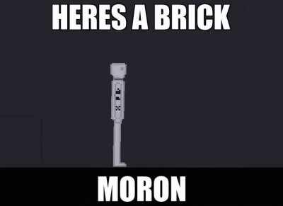 when someone says something stupid