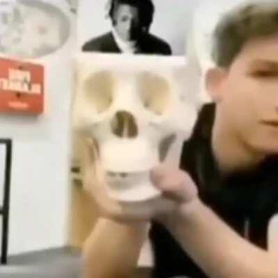 Hizo mas muerto que vivo