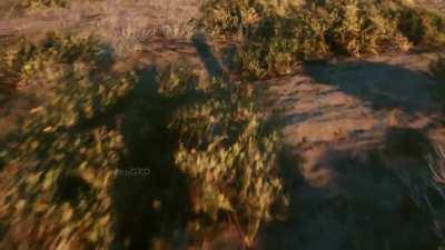 Quickly before they patch all the glitches