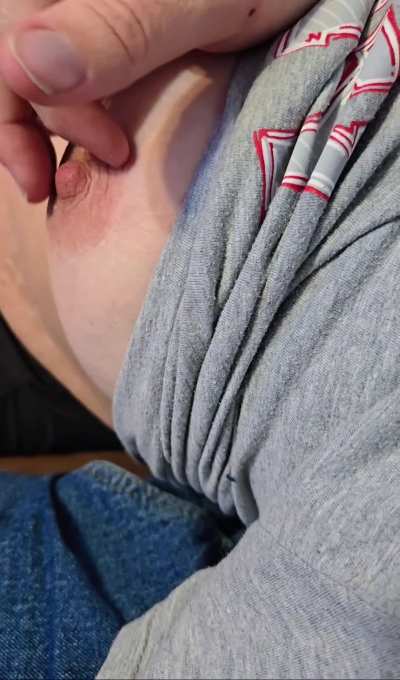 Kitten and Wolf Frolic And Play