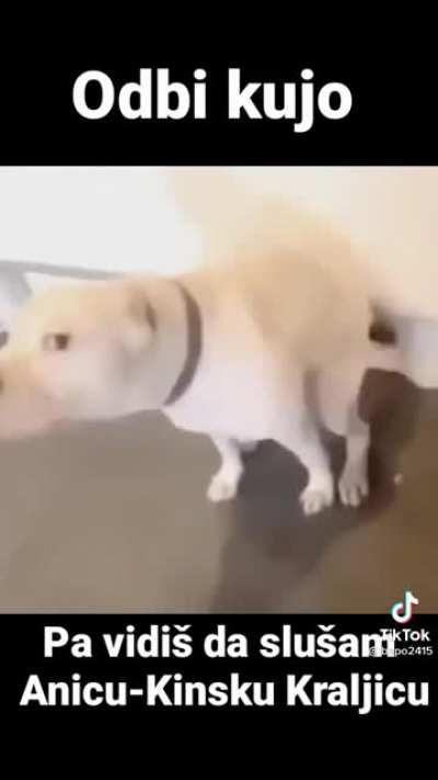 stfu im litsening anica kninska kraljica😎😎😎😎