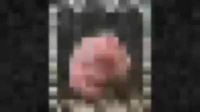 WATCH BEFORE GETS DELETED BY REDDIT FARDMOD jack stauber patreon video compilation (leaks)