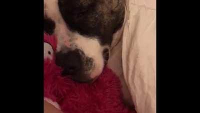 Вот так выглядит семейная жизнь.