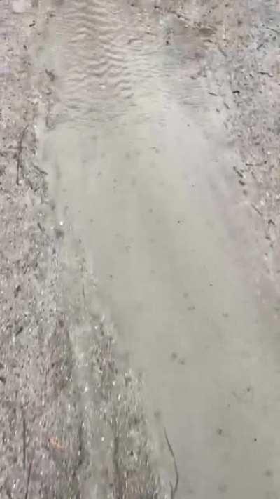 WCGW Camping on low ground