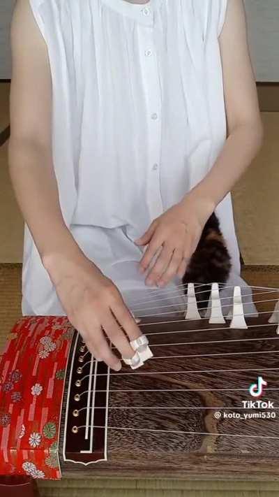 wunk is a member of royalty