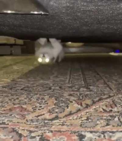 cursed_crawl