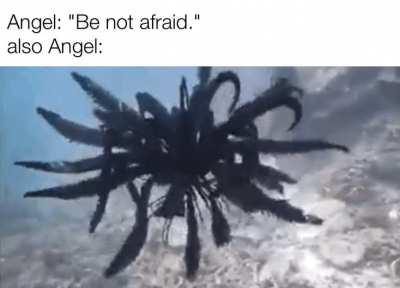 sir, this is the scariest moment of my life