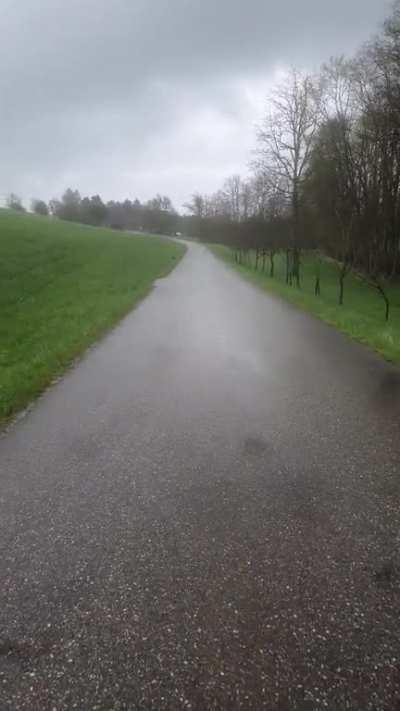 Walk in the rain(the lonely Tree version)