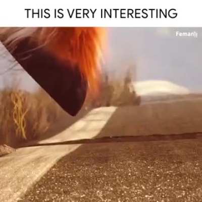 To watch till the end!