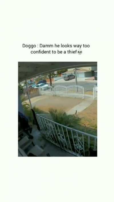 Commence stealth. Package secured. Initiate Panic.