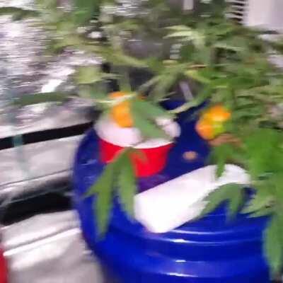 How should I tackle this issue?