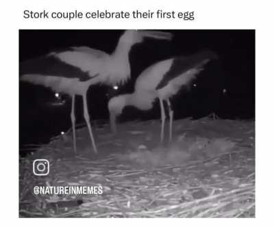 I hope this fits here 0_0