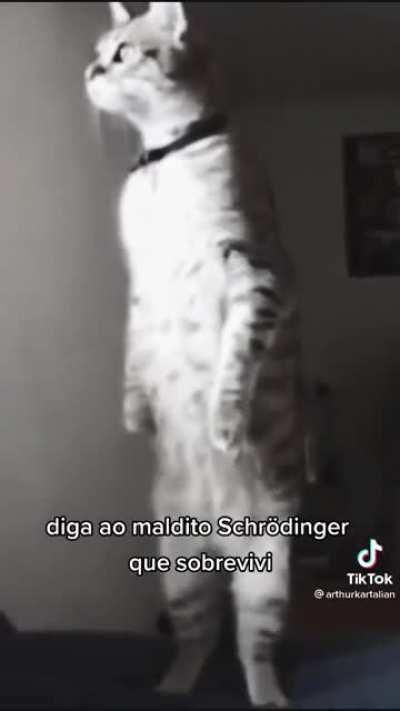 monkaS ele sobreviveu