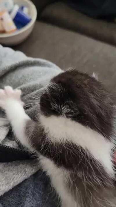 They are born bakers!