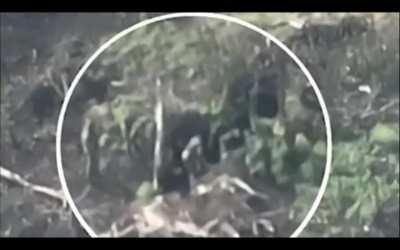 A couple russiam solders throwin hands