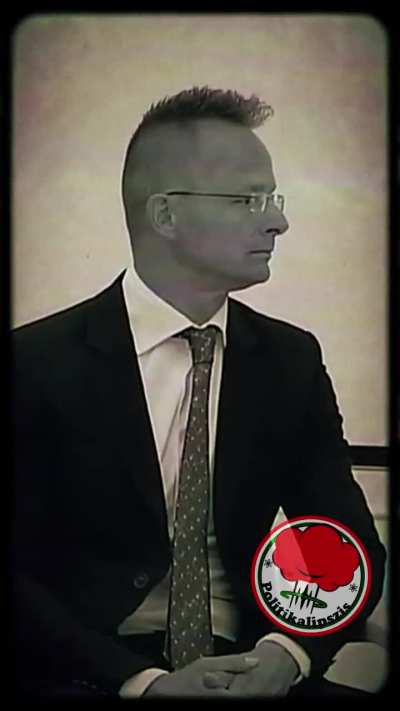 (AI) A Fidesz 17 Pillanata