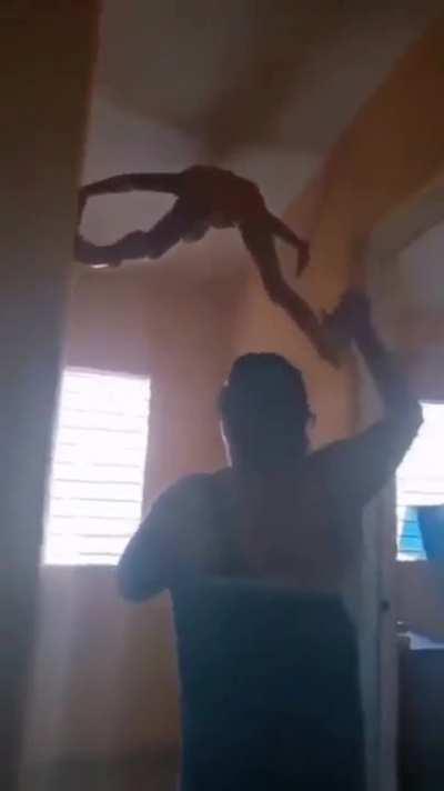 Homem Aranha: Problemas em casa