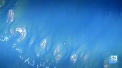 Ham to keh keh ke thhak gaye