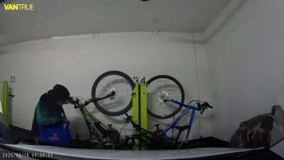 This is what bike theft in Toronto looks like now days. I was lucky these crackheads couldn't get the saw started