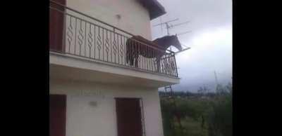 I hope this wasn't posted here before