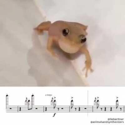 Posting random videos from my phone until I buy a new home button - day 13