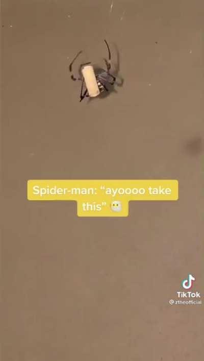 Spider clean with it