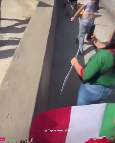 Anti-ICE protestors have shut down the 101 Freeway in LA