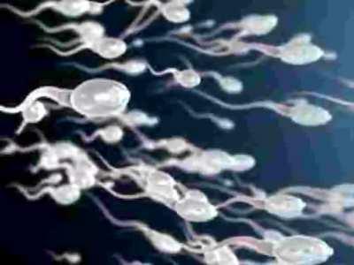 chapado XD **TOP** 5 (cinco) macacos TORRES Globos TD 6 «Rafox Juega» [via BLOONS ESPAÑA FB]