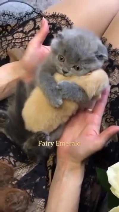 In case you're having a bad day