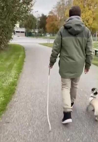 DoG geT ForCed To WAlk With exCruCiaTing PaiN