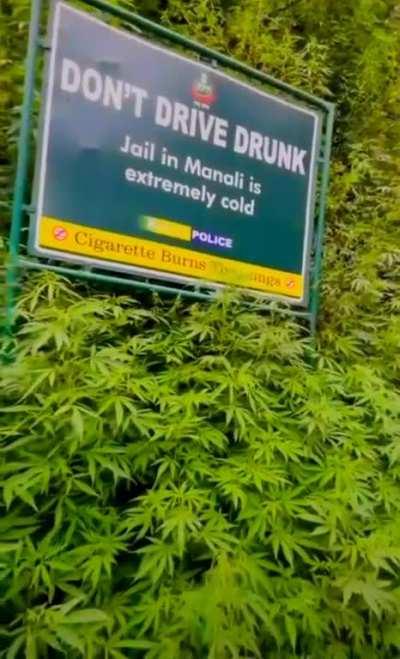 To warn public against drug use.