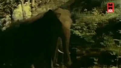 Back when privacy was respected.