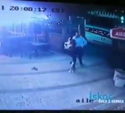 Dude walkin' his dog on a VERY territorial cat's turf. VERY! I can't stress that enough.