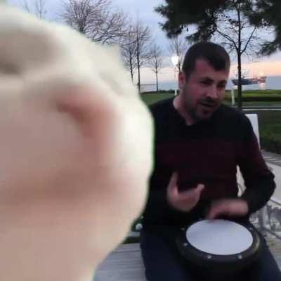 YOU GUYS KNOW WHAT TOMORROW IS RIGHT?! ITS MOTHERFUCKIN’ TUESDAY