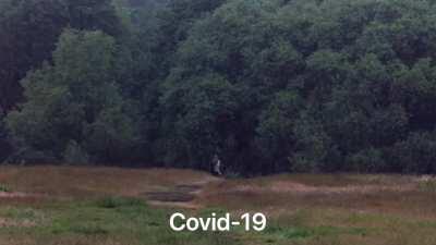 This really be how it happened