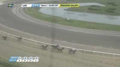 Swedish horse racing mayhem
