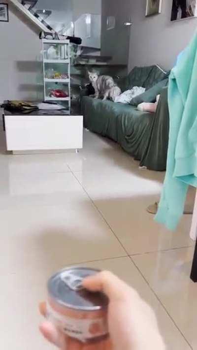 Did someone call me?