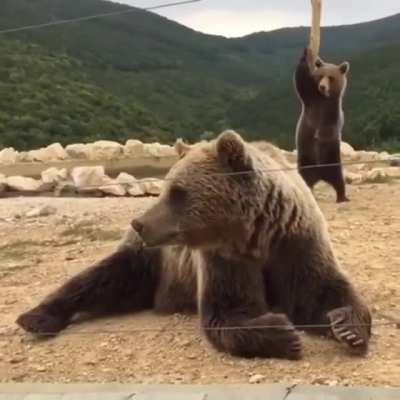 Hes training for the pole dancing competition .