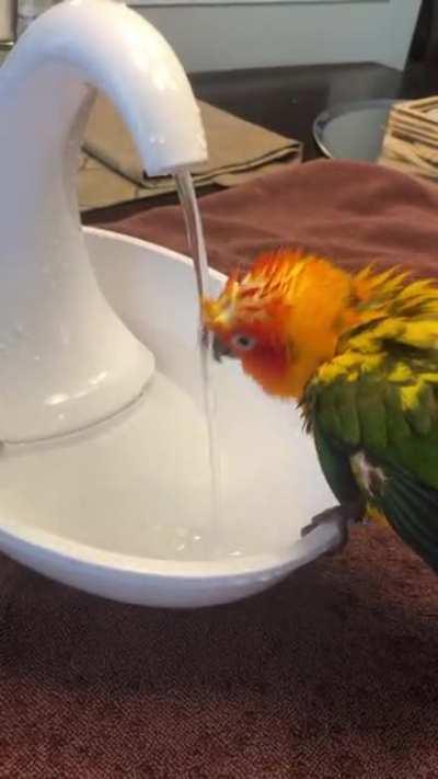 Washing his head 😊