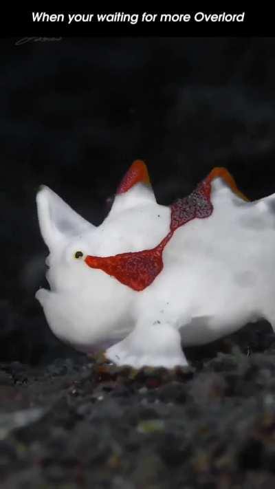 When your waiting for more Overlord