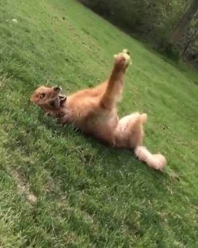 Dis is my ball and I love it😄❤️