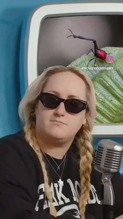 The ideal male figure