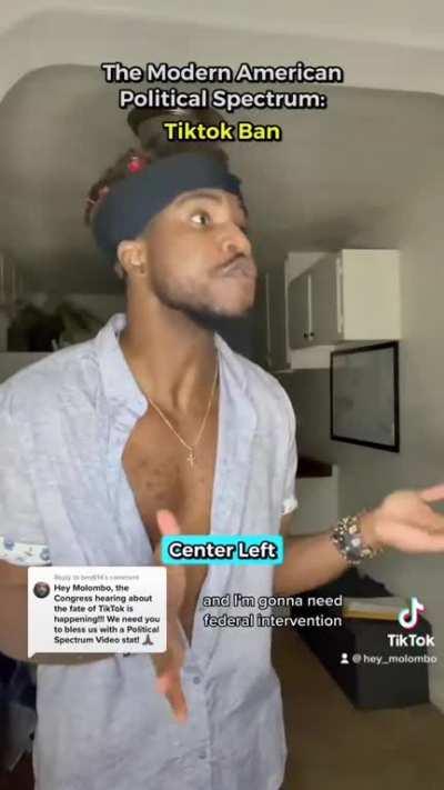 The Modern American Political Spectrum: TikTok Ban