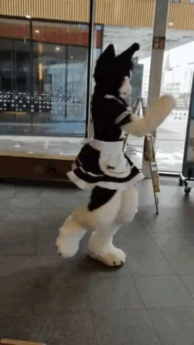 I have this random cute wolf made fursuit GIF on my computer that holds a special place in my heart. I think I found this on Tenor GIF but I love it nonetheless of it's origin. Anyone know who this suiter is?