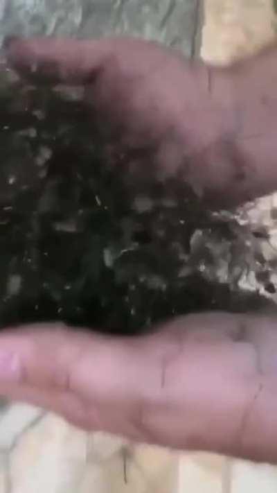 Thats a big no for me