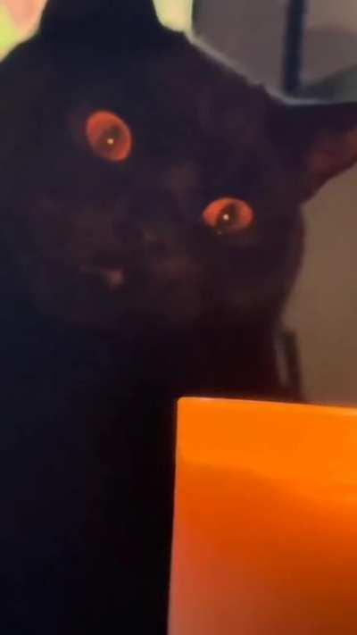 “It began with the forging of the Great Rings deep in the land of Mordor, in the Fires of Mount Doom...