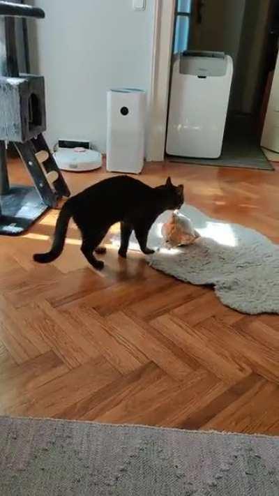 Anton being overly excited for his toy