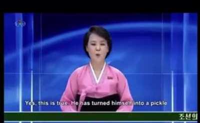 Funniest shit I've ever seen