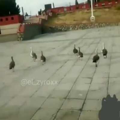 CUANDO EL FAN DE MONOGATARI POR FIN ENTRA A UN JARDIN DE NIÑOS