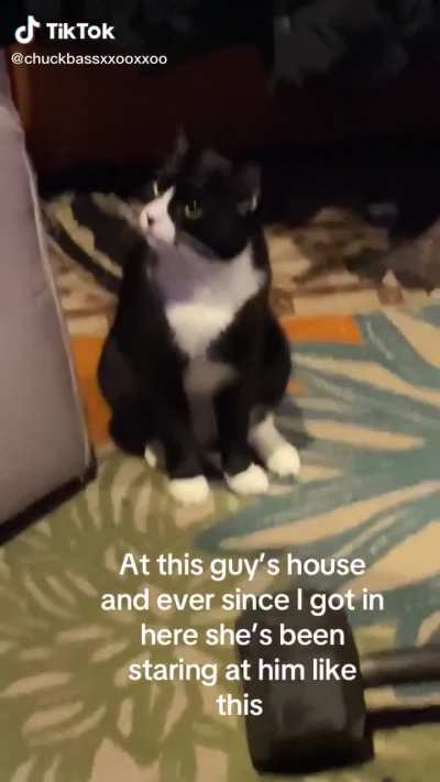 At this guy’s house and ever since I got in here she's been staring at him like this